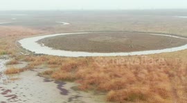 China's Hunan builds more eco-islands for migratory birds