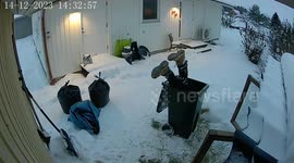 Woman accidentally falls in garbage bin