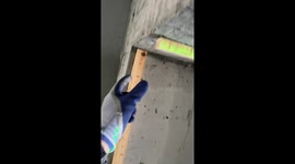 Seriously skilled carpenters communicate measurements using only eyes and fingers