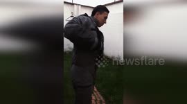 Firefighters successfully clear 2-year-old bee colony from patio in Bogota