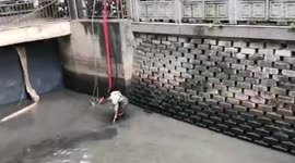 Workers look for million-dollar imperial green jade ring in river