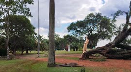 Ibirapuera Park Closed due to Heavy Rainfall Hit the Capital of Sao Paulo