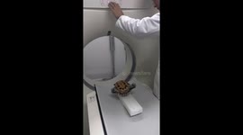 Turtle undergoes CT scan in Hebei, China