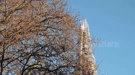 Looking through a tree from Southwark up towards The Shard on a Sunny Day, London, United Kingdom