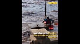 Man Rescued Two Squirrels During Flood