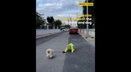 Hilarious Moment Between Dog and Toddler