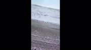 temp