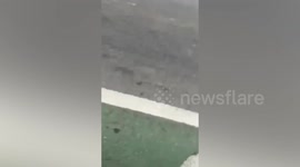 Escaped bull rams into mum and daughter driving by on motorcycle