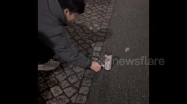 A funny moment after fireworks explode on New Year's Day in Germany