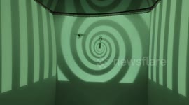 Quirky research sees hummingbird flight tested with surreal visuals