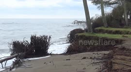 Extreme waves see trees uprooted and tourist lodges damaged in Indonesia