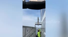 Did That Just Happen #1