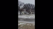 temp