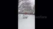 temp