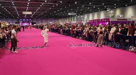 Embarrassment for. Drag Queen at this years Dragcon Uk held in London
