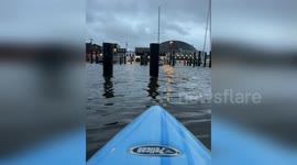 Man Kayaks Through Downtown Floods After Winter Storm in Annapolis, MD, USA