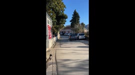 Happy drooling street cat enjoying the sun and taking a nap by a shop entrance