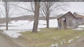 Vermont State Trooper Rescues 8-Year-Old from Icy Pond in Cambridge, USA