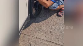Driver plucks kitten stuck in his car's front wheel