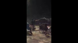 Firework explodes on foreigner's hand during New Year countdown in Thailand