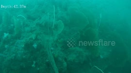 Divers continue search for British tourist 'missing at sea' with still no sign of ship wreck