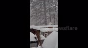 temp
