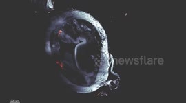 Groundbreaking nano robots show promise in shrinking bladder tumours