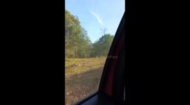 Elephant charges and attacks cars on Bandhipur - Muthanga Road, India