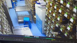 Sneaky lab mouse avoids capture by climbing on lab-tech's shoulder in scene straight out of Tom and Jerry