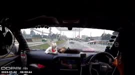 Pet cats cuddle on car dashboard while travelling with owners