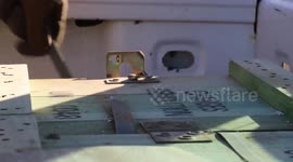 US Marines Demolish Bridge with C4 in San Clemente, USA