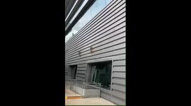 Agile monkeys shimmy across airport building in China