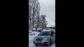 Snowy streets encounter: Moose strolls through anchorage, Alaska
