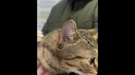 Viral Animal Videos #3