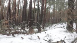 Russian forces allegedly captured Ukrainian military positions and took prisoners