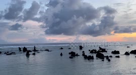 Nauru tourism practitioner hopes for more Chinese tourists