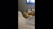 temp