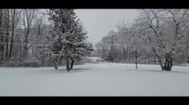 Mid-January 2024 Winter Storm - Greensboro, Maryland