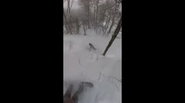 Hilarious scene as friends pull out snowboarder who fell head-first into 'dangerous' tree well