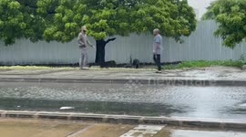 Heavy rains bring transport, businesses to standstill in Tanzania's commercial hub