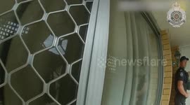 Queensland Police Uncover Cannabis Cache in Queensland, Australia