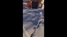 Haru's heartwarming encounter: cone-clad canine greetings through a pipe in Vinaros, Spain