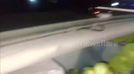 Cops Bust Parrot Trafficking Ring in Santiago del Estero, Argentina