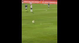 Stray Dog Disrupts Pro Soccer Match to Help Water the Grass