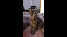 I'm ready to rescue you!