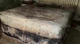 Pensioner forced out of her home by mould and rats moves back in after locals raise £120k for a makeover