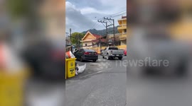 Hit-and-run victim holds onto escaping truck to catch driver