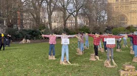 Scarecrows erected outside Parliament as MPs debate low payments supermarkets make to farmers