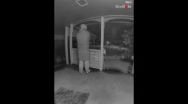 Tree branches unexpectedly fall and scare off the house owner *Hilarious*