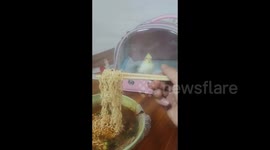 Parrot Paced Back and Forth in Eager to Share Owners Noodles in Jingdezhen, China